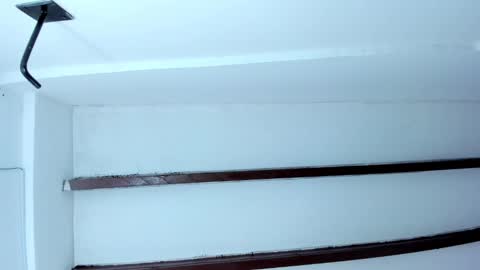 Miss Guzman  online show from January 23, 11:15 am