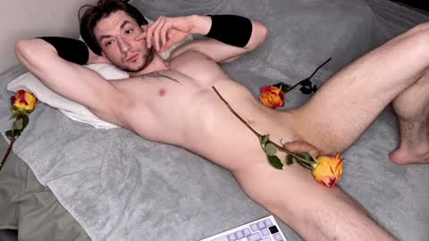 Snapshot of origamicat chatting on January 19, 9:13 pm origamicat online show from January 19, 9:13 pm