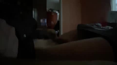 Snapshot of originreal chatting on December 16, 9:58 am originreal online show from December 16, 9:58 am