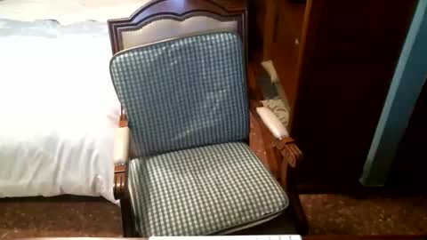 Oscar online show from December 16, 4:23 pm