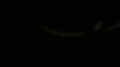 Snapshot of ossibottom chatting on November 1, 10:01 pm Ossi online show from November 1, 10:01 pm