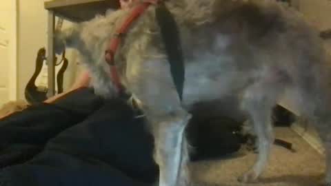 Snapshot of ossignol_xxx chatting on January 22, 4:44 am rossignol online show from January 22, 4:44 am