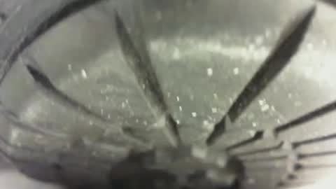 Pablo Meness online show from January 24, 4:49 pm