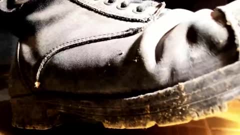 Pablo Meness online show from January 31, 8:29 pm