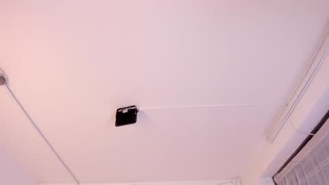 Paloma  online show from February 3, 11:36 pm