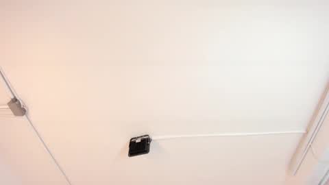 Paloma  online show from February 9, 6:37 pm