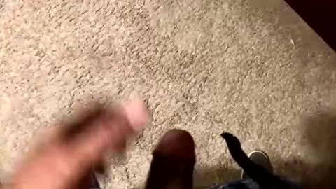 Snapshot of palote_69 chatting on November 15, 3:37 am palote_69 online show from November 15, 3:37 am