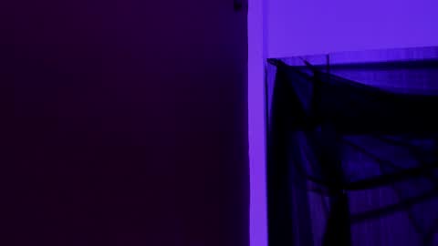  P A M  online show from November 23, 4:12 am