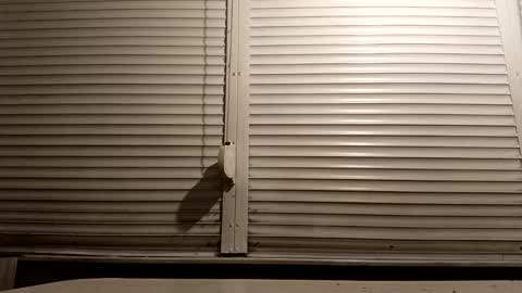 Snapshot of pamid215 chatting on January 13, 6:46 pm angel hris online show from January 13, 6:46 pm