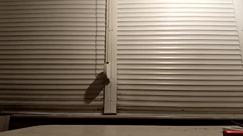 Snapshot of pamid215 chatting on January 14, 4:45 pm angel hris online show from January 14, 4:45 pm