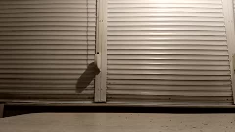 Snapshot of pamid215 chatting on February 4, 5:08 pm angel hris online show from February 4, 5:08 pm