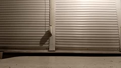 Snapshot of pamid215 chatting on February 6, 4:54 pm angel hris online show from February 6, 4:54 pm