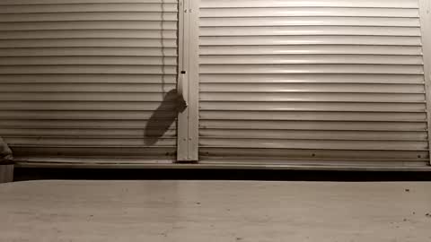 Snapshot of pamid215 chatting on February 25, 4:27 pm angel hris online show from February 25, 4:27 pm