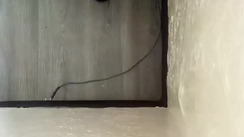 Snapshot of pantieplaytime52532 chatting on December 25, 5:16 am pantieplaytime52532 online show from December 25, 5:16 am