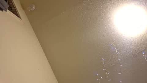 Papij online show from January 13, 2:00 pm