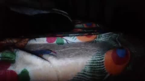 Snapshot of papimexicano703 chatting on November 20, 6:46 am papi mexicano en boxers online show from November 20, 6:46 am