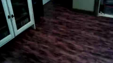 Ricky online show from May 25, 3:51 pm