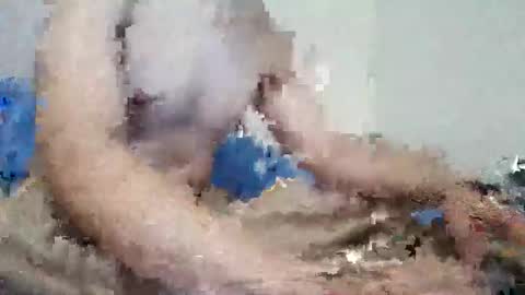 parejitafiel2309 online show from November 9, 8:18 pm