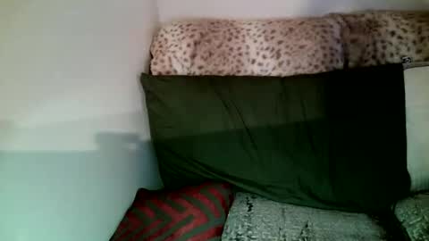 Snapshot of parlay0028 chatting on January 5, 10:08 pm Parlay tellio online show from January 5, 10:08 pm