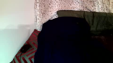 Snapshot of parlay0028 chatting on January 29, 8:25 pm Parlay tellio online show from January 29, 8:25 pm