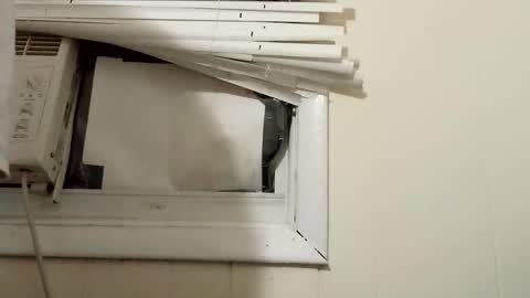 Snapshot of pato0008 chatting on December 17, 11:27 pm JD online show from December 17, 11:27 pm