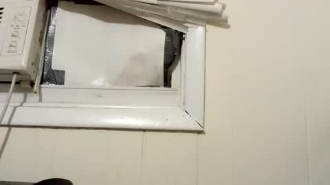 Snapshot of pato0008 chatting on December 18, 2:32 am JD online show from December 18, 2:32 am