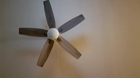 patrick247288 online show from November 7, 6:13 am