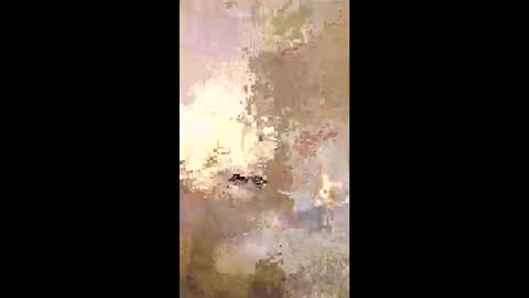 Snapshot of patrickalan2 chatting on December 14, 2:50 am patrickalan2 online show from December 14, 2:50 am