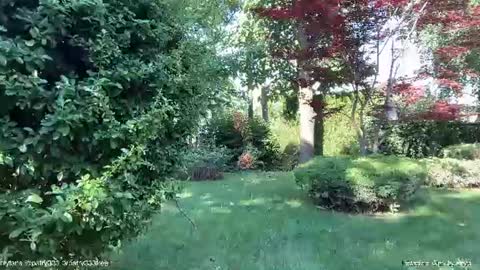 Andreea online show from June 20, 5:32 am