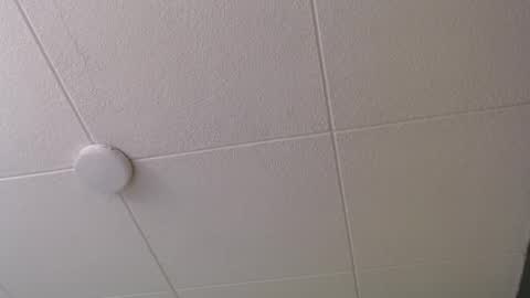 Paul online show from October 20, 1:00 pm