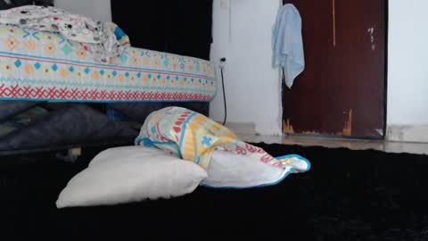 paula_torrez online show from September 17, 2:08 pm