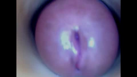 Paula 18 Aninhos online show from January 29, 8:56 pm