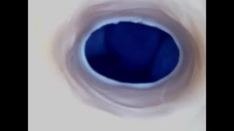 Paula 18 Aninhos online show from January 30, 10:08 am