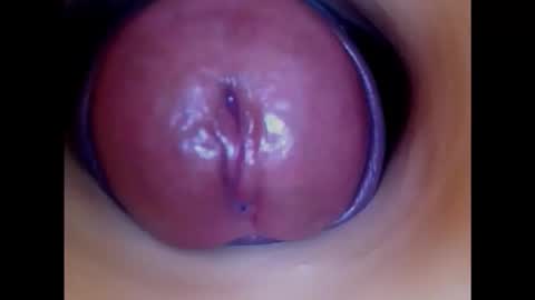 Paula 18 Aninhos online show from November 20, 7:30 am