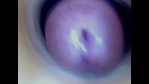 Paula 18 Aninhos online show from March 3, 5:30 pm