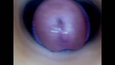 Snapshot of paulainoscente chatting on May 12, 12:57 pm Paula 18 Aninhos online show from May 12, 12:57 pm