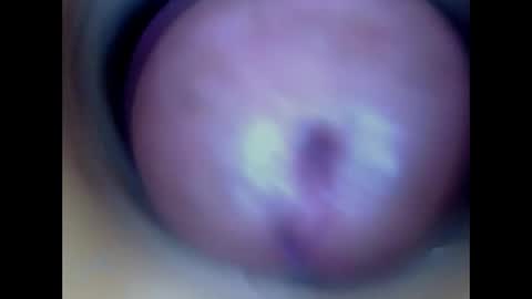 Snapshot of paulainoscente chatting on May 13, 1:03 am Paula 18 Aninhos online show from May 13, 1:03 am