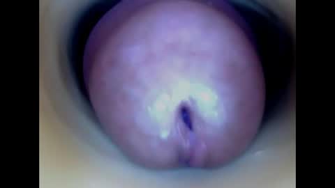Snapshot of paulainoscente chatting on May 13, 1:08 pm Paula 18 Aninhos online show from May 13, 1:08 pm