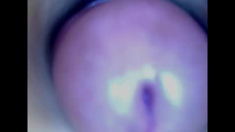 Snapshot of paulainoscente chatting on May 18, 2:40 am Paula 18 Aninhos online show from May 18, 2:40 am