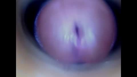 Snapshot of paulainoscente chatting on May 21, 1:51 pm Paula 18 Aninhos online show from May 21, 1:51 pm