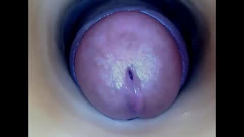 Snapshot of paulainoscente chatting on May 22, 6:46 pm Paula 18 Aninhos online show from May 22, 6:46 pm