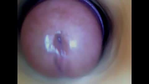 Snapshot of paulainoscente chatting on May 27, 1:57 am Paula 18 Aninhos online show from May 27, 1:57 am