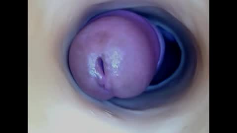 Snapshot of paulainoscente chatting on May 31, 9:38 pm Paula 18 Aninhos online show from May 31, 9:38 pm