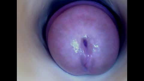 Snapshot of paulainoscente chatting on June 3, 12:24 am Paula 18 Aninhos online show from June 3, 12:24 am