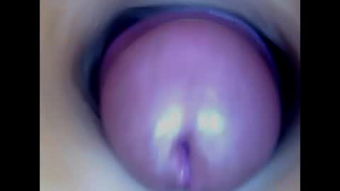Snapshot of paulainoscente chatting on June 9, 5:24 pm Paula 18 Aninhos online show from June 9, 5:24 pm