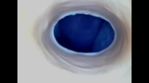 Snapshot of paulainoscente chatting on June 14, 2:24 am Paula 18 Aninhos online show from June 14, 2:24 am