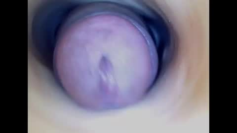 Snapshot of paulainoscente chatting on June 15, 1:24 pm Paula 18 Aninhos online show from June 15, 1:24 pm