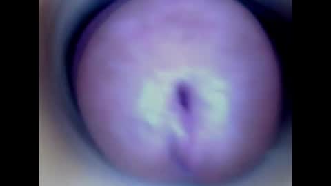 Snapshot of paulainoscente chatting on June 16, 1:30 am Paula 18 Aninhos online show from June 16, 1:30 am