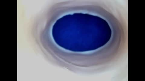 Snapshot of paulainoscente chatting on June 19, 5:06 pm Paula 18 Aninhos online show from June 19, 5:06 pm
