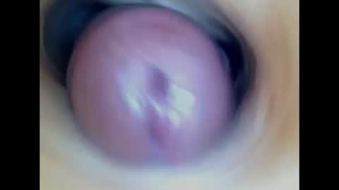 Snapshot of paulainoscente chatting on July 7, 1:59 pm Paula 18 Aninhos online show from July 7, 1:59 pm